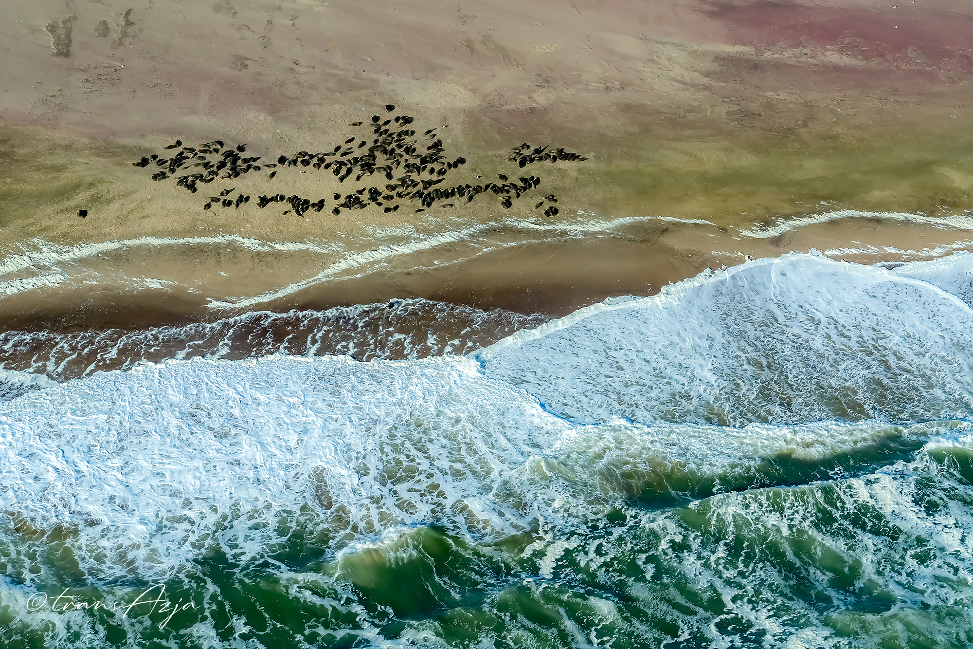 Wybrzeże Szkieletów