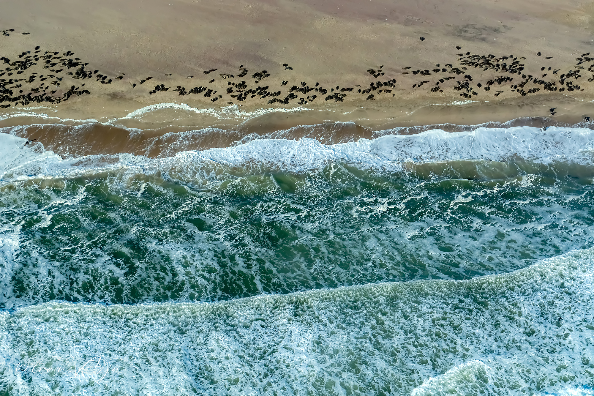 Wybrzeże Szkieletów