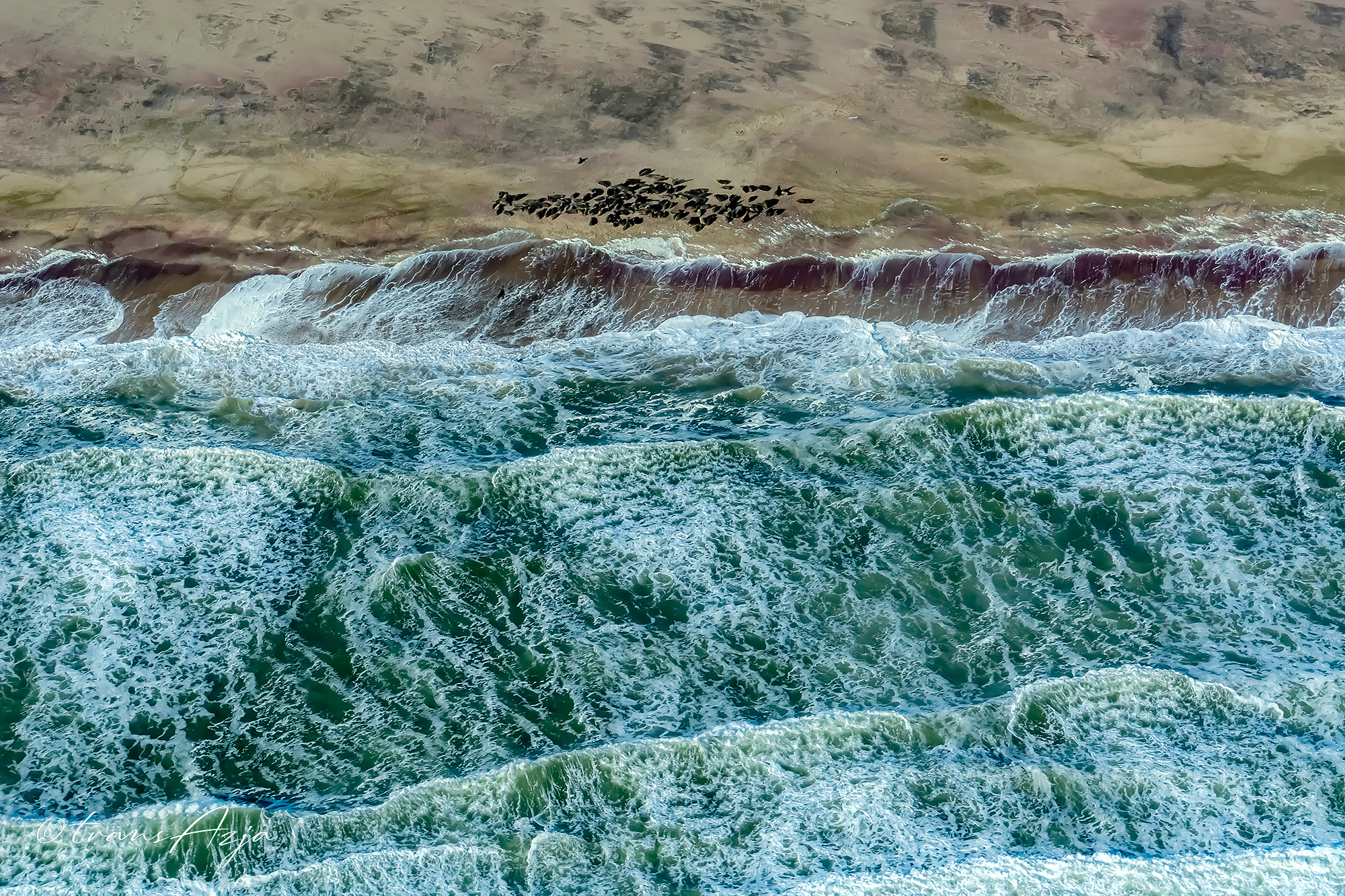 Wybrzeże Szkieletów